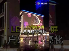 Nội thất P100 Flexible LED Mesh Screen Display LED Dot Light minh bạch