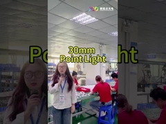 Phong cảnh đầy màu đèn LED Smd5050 IP67 24v Cho ánh sáng kỳ nghỉ